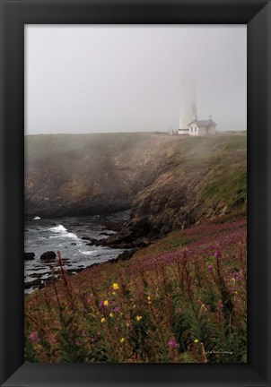 Framed Coastal Fog IV Print