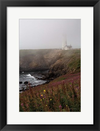 Framed Coastal Fog IV Print