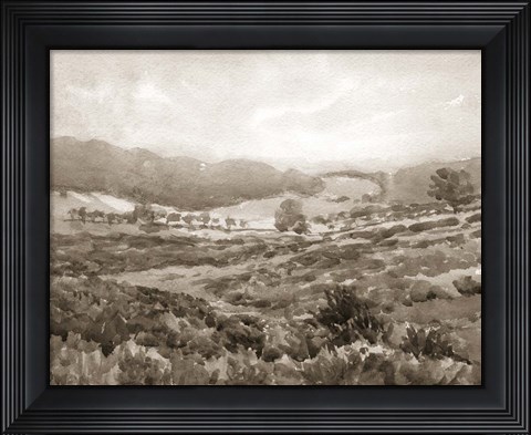 Framed Field of Flowers Sepia Print