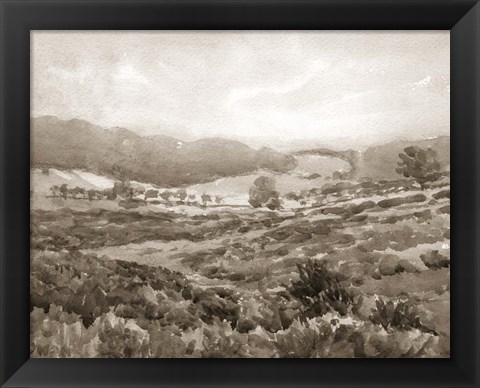 Framed Field of Flowers Sepia Print