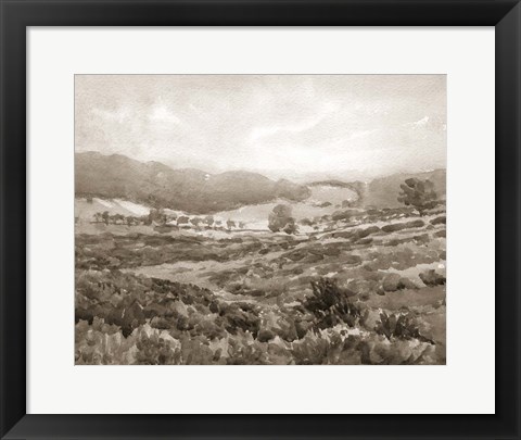 Framed Field of Flowers Sepia Print