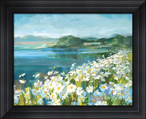 Framed Wild Daisy Bay Print
