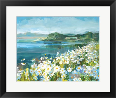 Framed Wild Daisy Bay Print