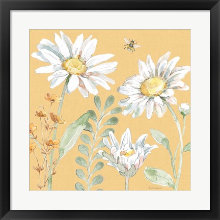 Framed Daisy Days VIII Print