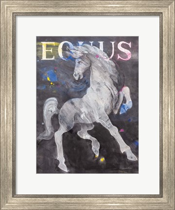Framed Equus Stallion Print