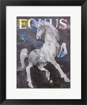 Framed Equus Stallion Print