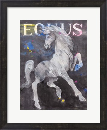 Framed Equus Stallion Print