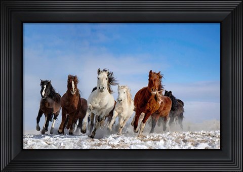 Framed Mongolia Horses Print