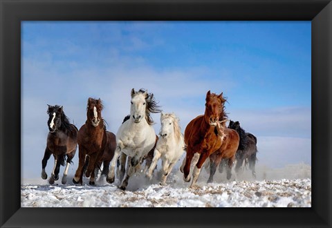 Framed Mongolia Horses Print