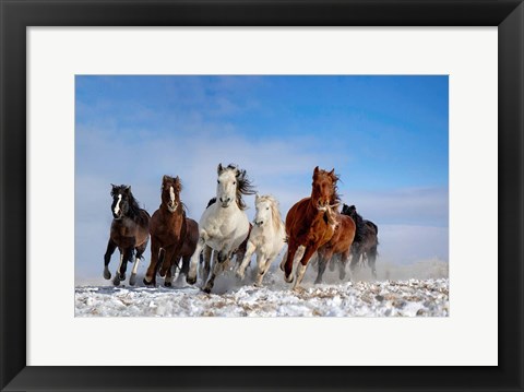 Framed Mongolia Horses Print