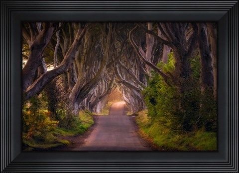 Framed Glowing Hedges Print