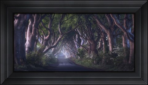 Framed Dark Hedges Print