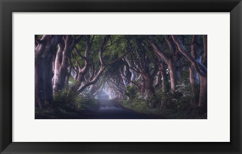 Framed Dark Hedges Print