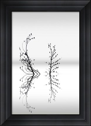 Framed Dreamland 3 Print