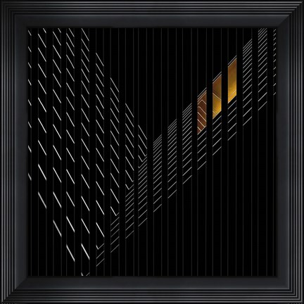 Framed Light Rail Print