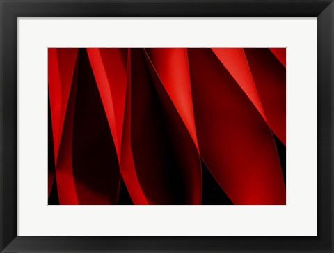 Framed Foramina Print