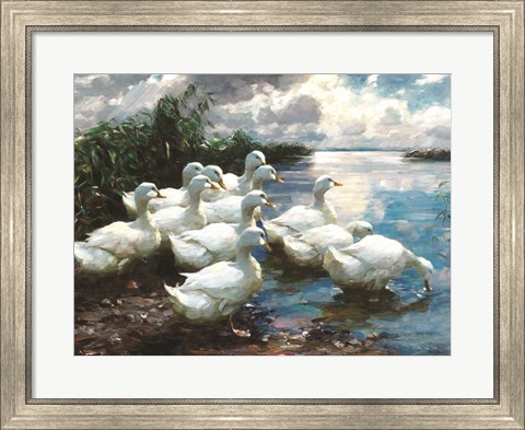Framed Ducks by the Lake 1 Print