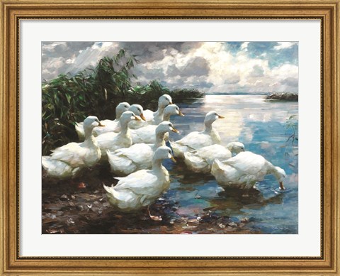 Framed Ducks by the Lake 1 Print