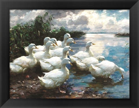 Framed Ducks by the Lake 1 Print