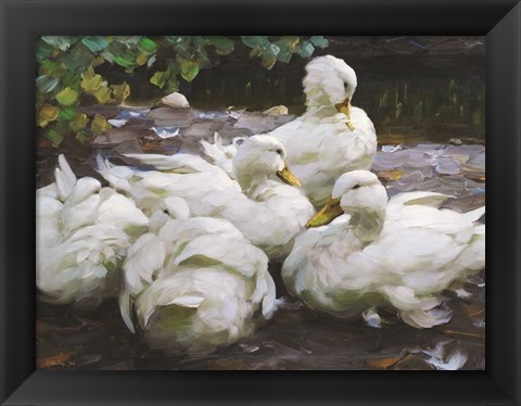 Framed Ducks by the Lake 2 Print