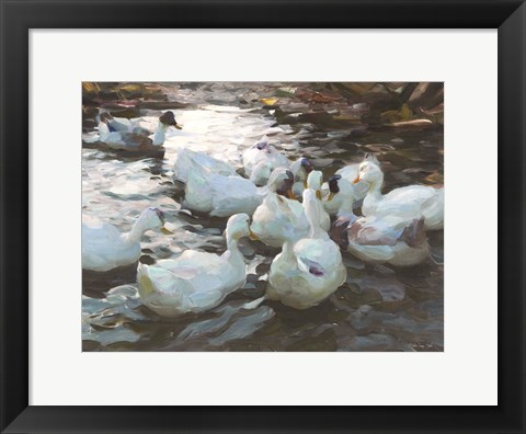 Framed Ducks by the Lake 3 Print