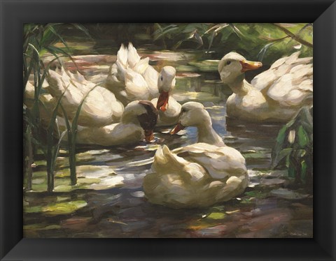 Framed Ducks by the Lake 4 Print