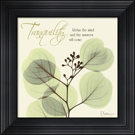 Framed Tranquility Print