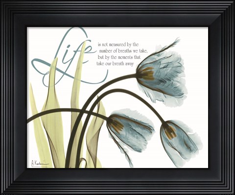 Framed Life Blue Print