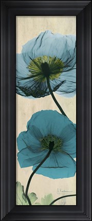 Framed Iceland Poppy Moments Print