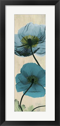 Framed Iceland Poppy Moments Print