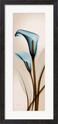 Framed Blue Calla Lily Print