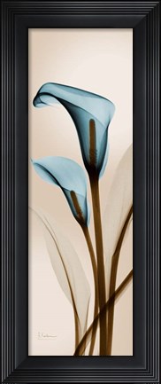 Framed Blue Calla Lily Print