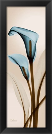 Framed Blue Calla Lily Print