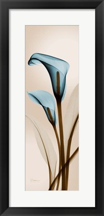 Framed Blue Calla Lily Print