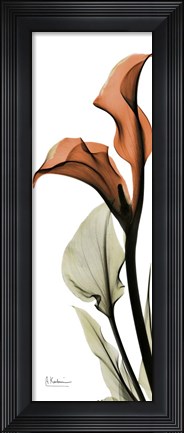 Framed Terracotta Calla Lily Print