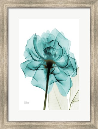 Framed Teal Spirit Rose Print