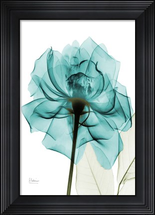 Framed Teal Spirit Rose Print