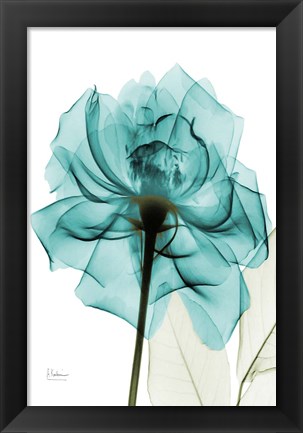 Framed Teal Spirit Rose Print