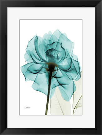 Framed Teal Spirit Rose Print