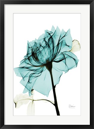 Framed Teal Spirit Rose 2 Print