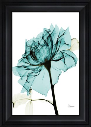 Framed Teal Spirit Rose 2 Print