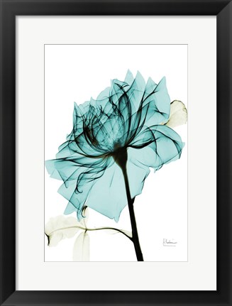 Framed Teal Spirit Rose 2 Print