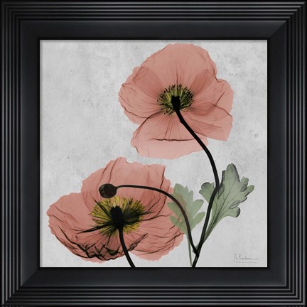 Framed Iceland Marsala 1 Print