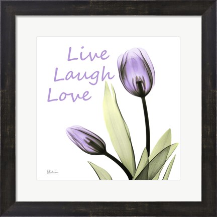 Framed Live Laugh Love Print
