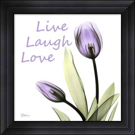 Framed Live Laugh Love Print