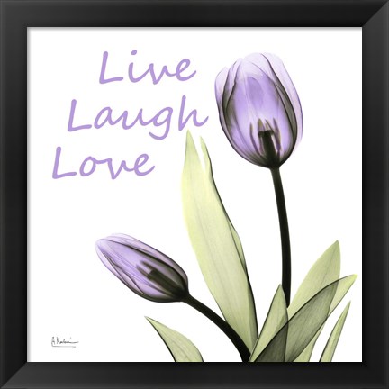 Framed Live Laugh Love Print