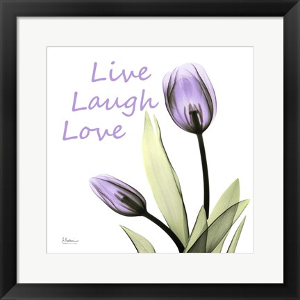 Framed Live Laugh Love Print