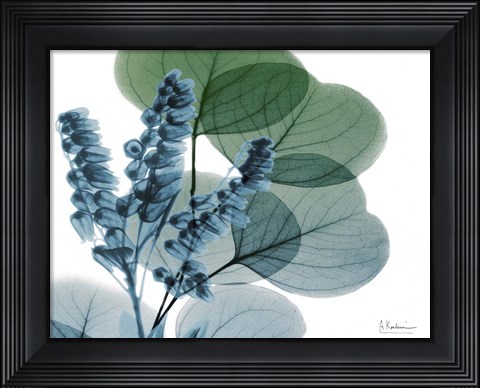 Framed Lilly of Eucalyptus Print