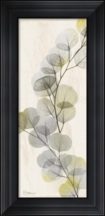 Framed Golden Flaked 2 Print
