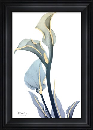 Framed Gold Splash Calla Lily Print